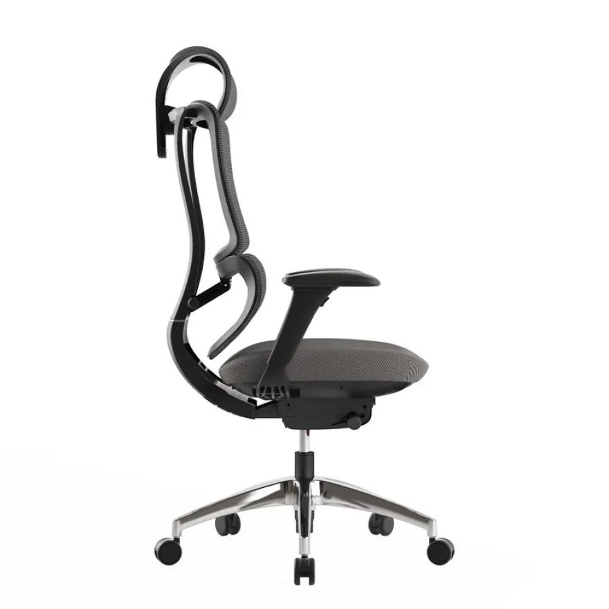 Fauteuil de bureau ERGOSTAR Ultra - accoudoirs réglables - Appui-tête réglable - noir