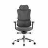 Fauteuil de bureau ERGOSTAR Ultra - accoudoirs réglables - Appui-tête réglable - noir