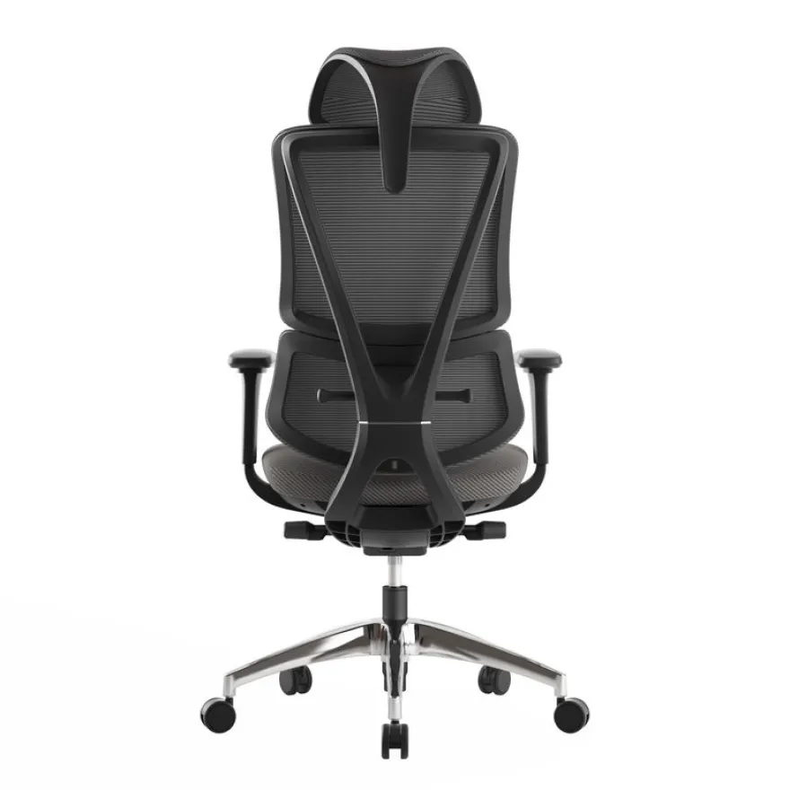 Fauteuil de bureau ERGOSTAR Ultra - accoudoirs réglables - Appui-tête réglable - noir