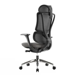 Fauteuil de bureau ERGOSTAR Ultra - accoudoirs réglables - Appui-tête réglable - noir