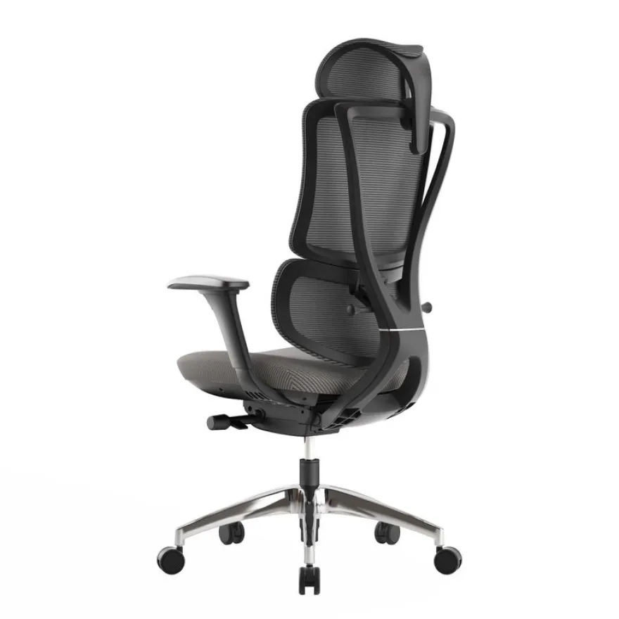 Fauteuil de bureau ERGOSTAR Ultra - accoudoirs réglables - Appui-tête réglable - noir