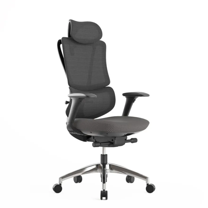 Fauteuil de bureau ERGOSTAR Ultra - accoudoirs réglables - Appui-tête réglable - noir