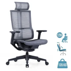Fauteuil de bureau JAMES - accoudoirs réglables - appuie-tête réglable - noir et gris