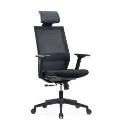 Fauteuil de bureau MAXIM - accoudoirs réglables - Appuie tête - noir