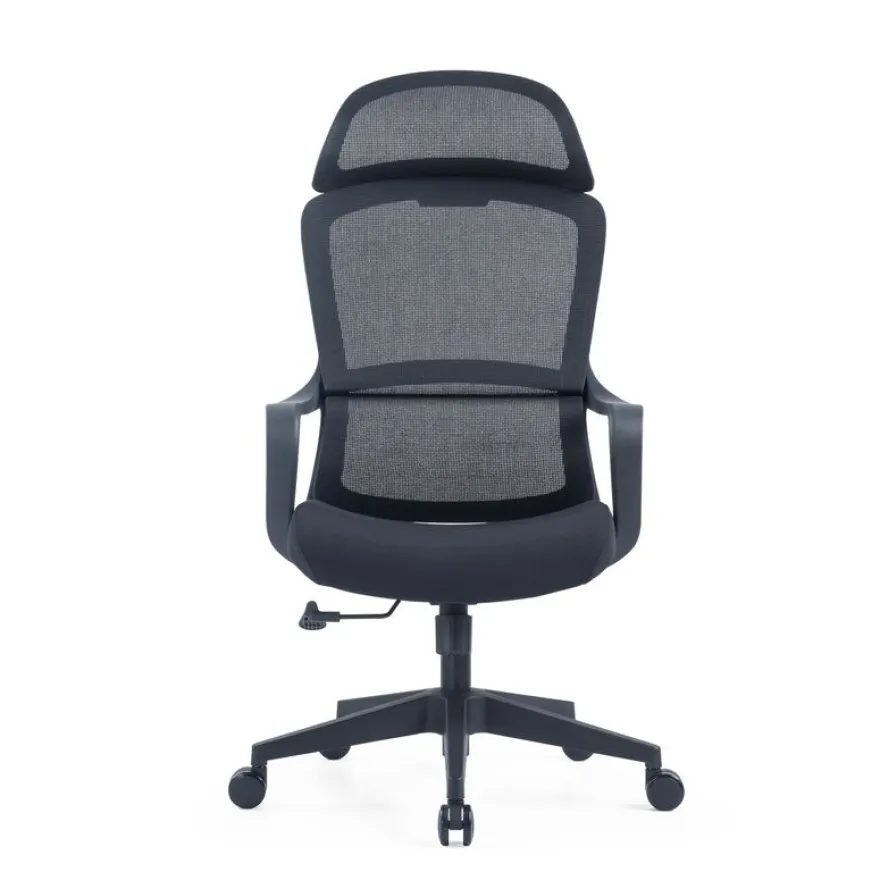 Fauteuil de bureau RICHARD - accoudoirs fixes - têtière intégré - noir