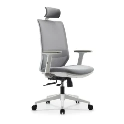 Fauteuil de bureau TECSY - accoudoirs réglables - Appui-tête réglable - base blanche - gris