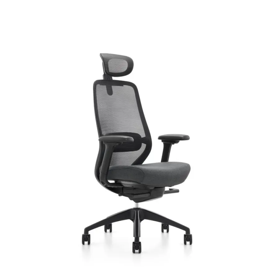 Fauteuil de bureau ZEBULON - accoudoirs réglables - appui-tête réglable - noir