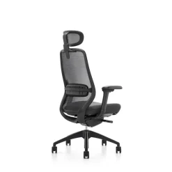 Fauteuil de bureau ZEBULON - accoudoirs réglables - appui-tête réglable - noir