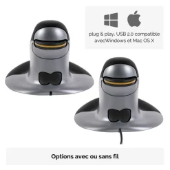 Fellowes - Souris sans fil ambidextre - Grand