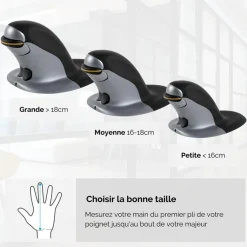 Fellowes - Souris sans fil ambidextre - Grand
