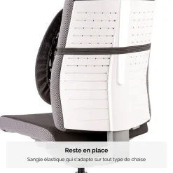 Fellowes - Support dorsal Angel - noir
