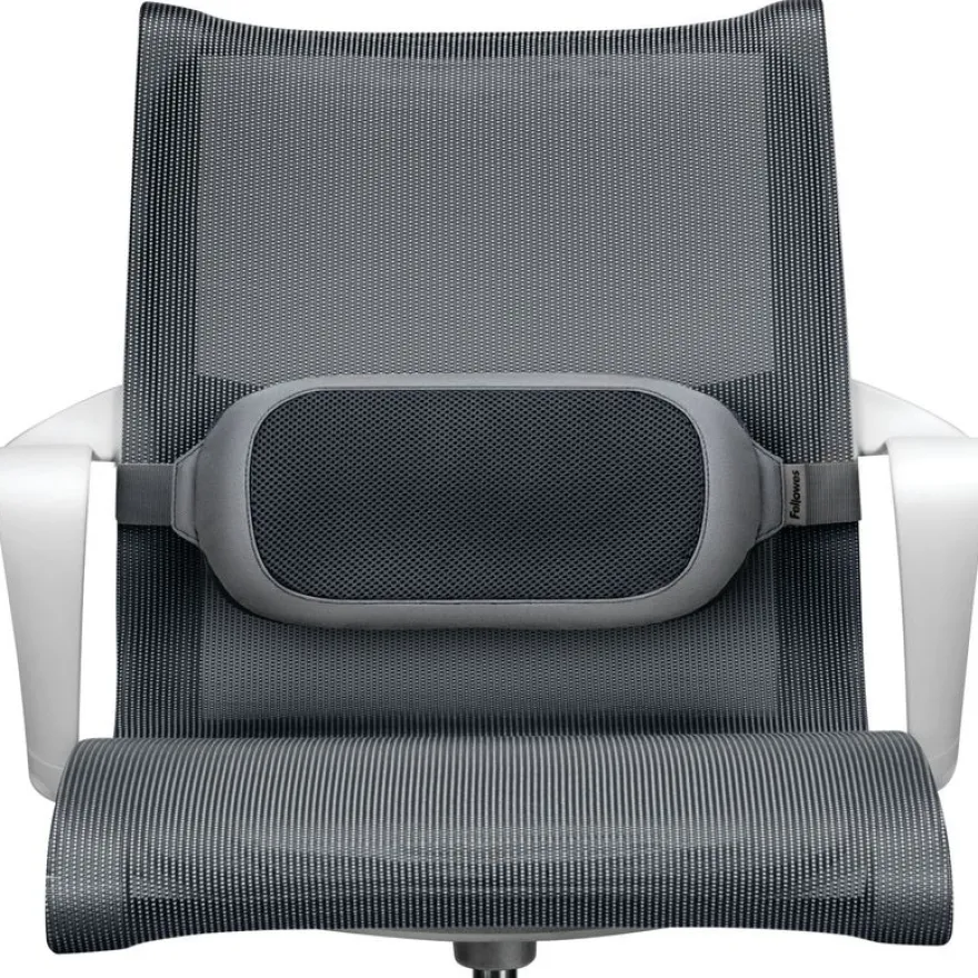 Fellowes I-Spire - Support lombaire gris