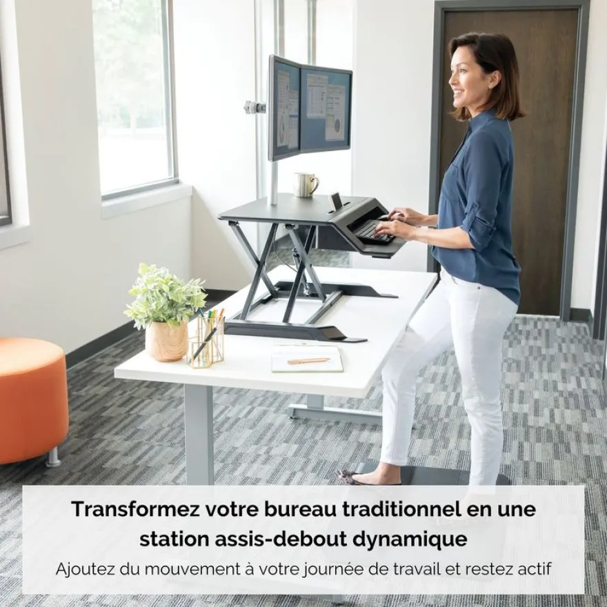 Fellowes Lotus LT - Station de travail assis-debout - noir