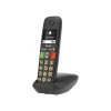 Gigaset E290 Duo - téléphone sans fil à grosse touche + combiné supplémentaire - blanc