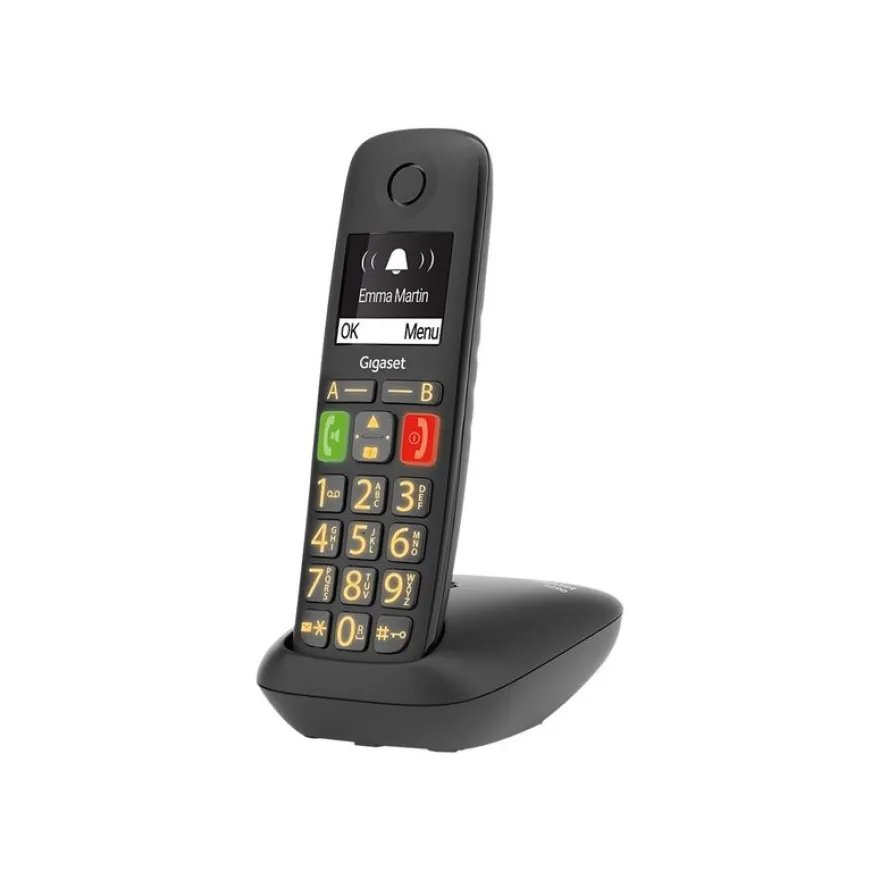 Gigaset E290 Duo - téléphone sans fil à grosse touche + combiné supplémentaire - blanc