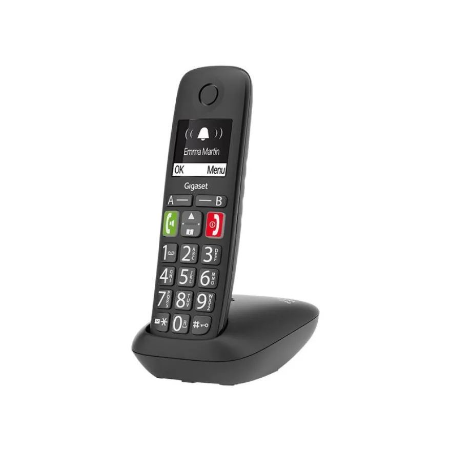 Gigaset E290 Duo - téléphone sans fil à grosse touche + combiné supplémentaire - blanc
