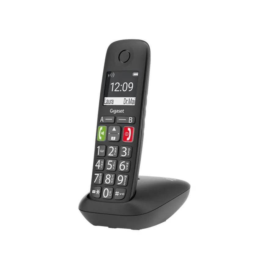 Gigaset E290 Duo - téléphone sans fil à grosse touche + combiné supplémentaire - blanc