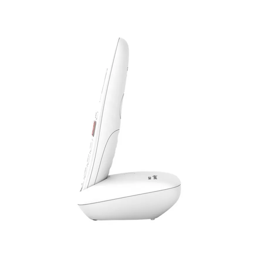 Gigaset E290A Duo - téléphone sans fil - système de répondeur avec ID d'appelant + combiné supplémentaire