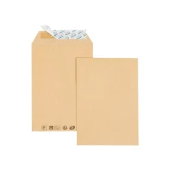 GPV - 250 Pochettes Enveloppes C4 229 x 324 mm - 90 gr - sans fenêtre - kraft - bande adhésive