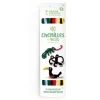 Graine Créative - 40 Fils Chenillés + 24 Yeux Mobiles - Kit Créatif