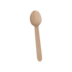 Guillin Servipack - 50 Cuillères bois 15,5 cm