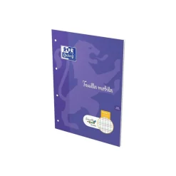 HOLDHAM - 50 feuilles mobiles Dys perforées - 100 pages - A4 - ligné 2 mm