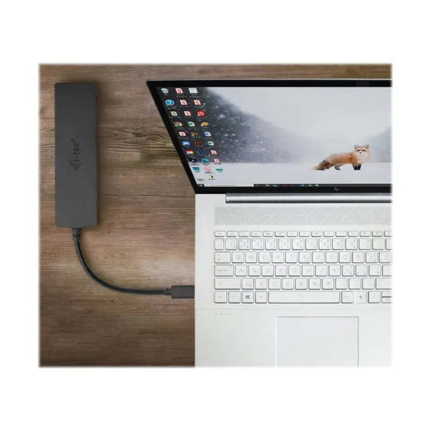 i-Tec - Hub - 2 x SuperSpeed USB 3.0 + 2 x USB-C 3.1 Gen 1 - de bureau