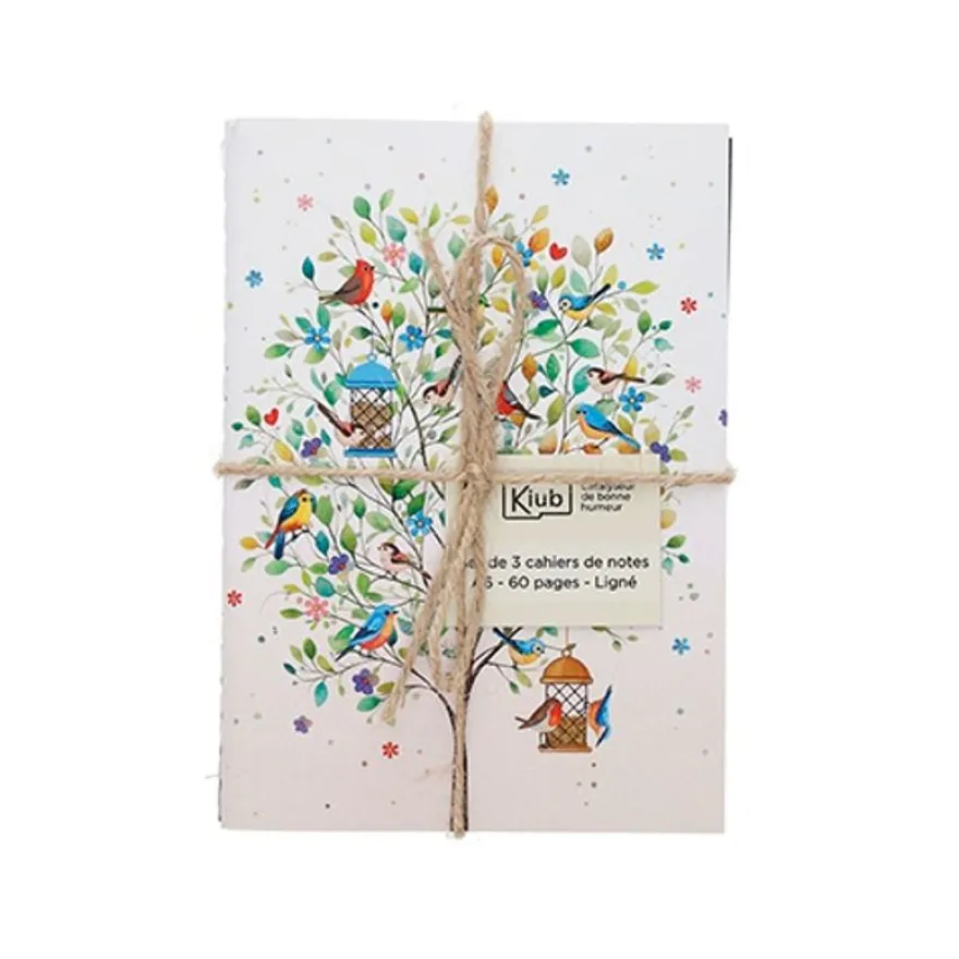 Kiub - Set de 3 carnets a6 portfolio 14,7x10,5 pap bug art
