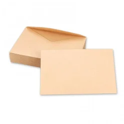La Couronne - 1000 Enveloppes élection - 90 x 140 mm - 70 gr - orange