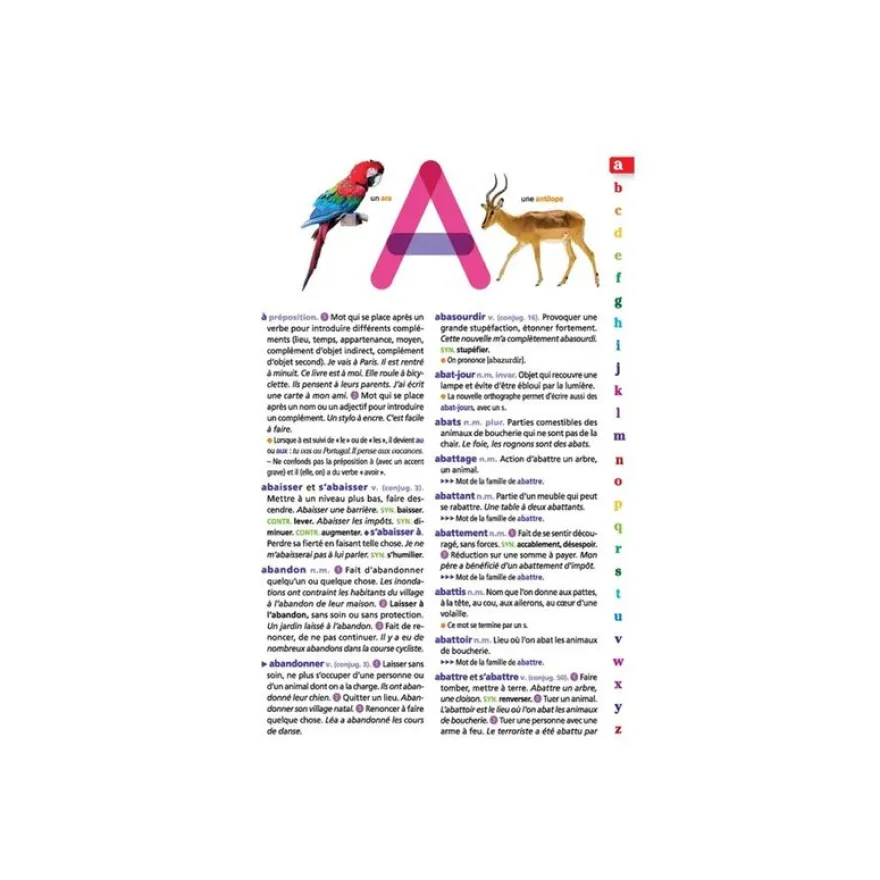 Le dictionnaire Larousse Junior