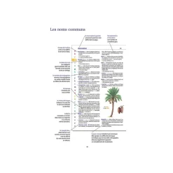 Le dictionnaire Larousse Junior