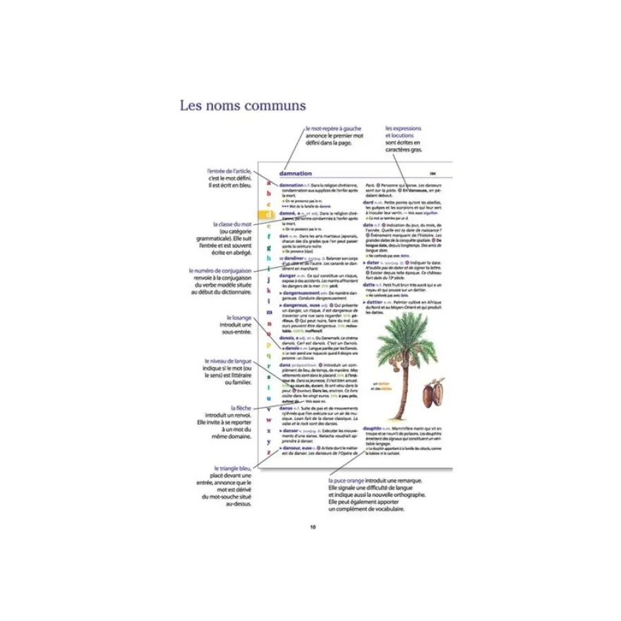 Le dictionnaire Larousse Junior