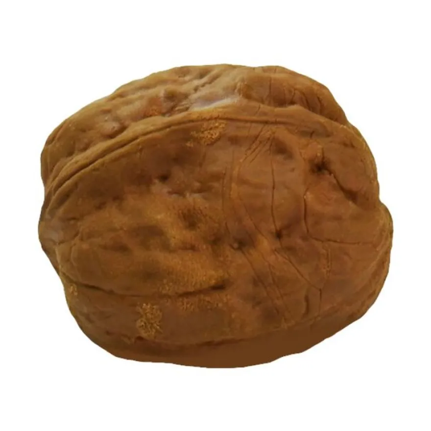 Legami - Gomme noix