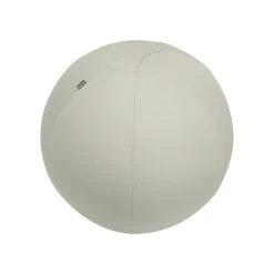 Leitz Ergo - Ballon d'assise ergonomique - Diamètre 75cm - Gris clair