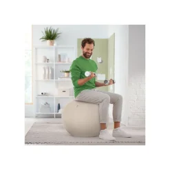 Leitz Ergo - Ballon d'assise ergonomique - Diamètre 75cm - Gris clair