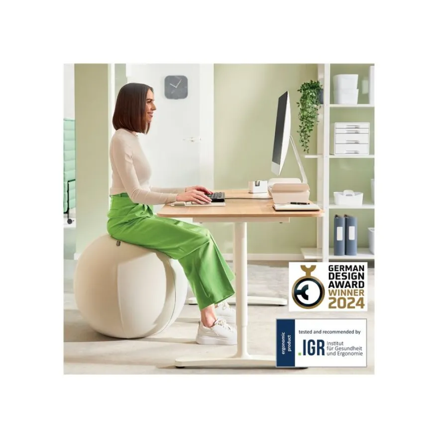 Leitz Ergo - Ballon d'assise ergonomique - Diamètre 75cm - Gris clair
