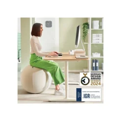 Leitz Ergo - Ballon d'assise ergonomique - Diamètre 65cm - Gris clair