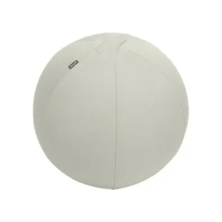 Leitz Ergo - Ballon d'assise ergonomique - Diamètre 55cm - Gris clair