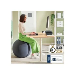 Leitz Ergo - Ballon d'assise ergonomique - Diamètre 75cm - Gris foncé