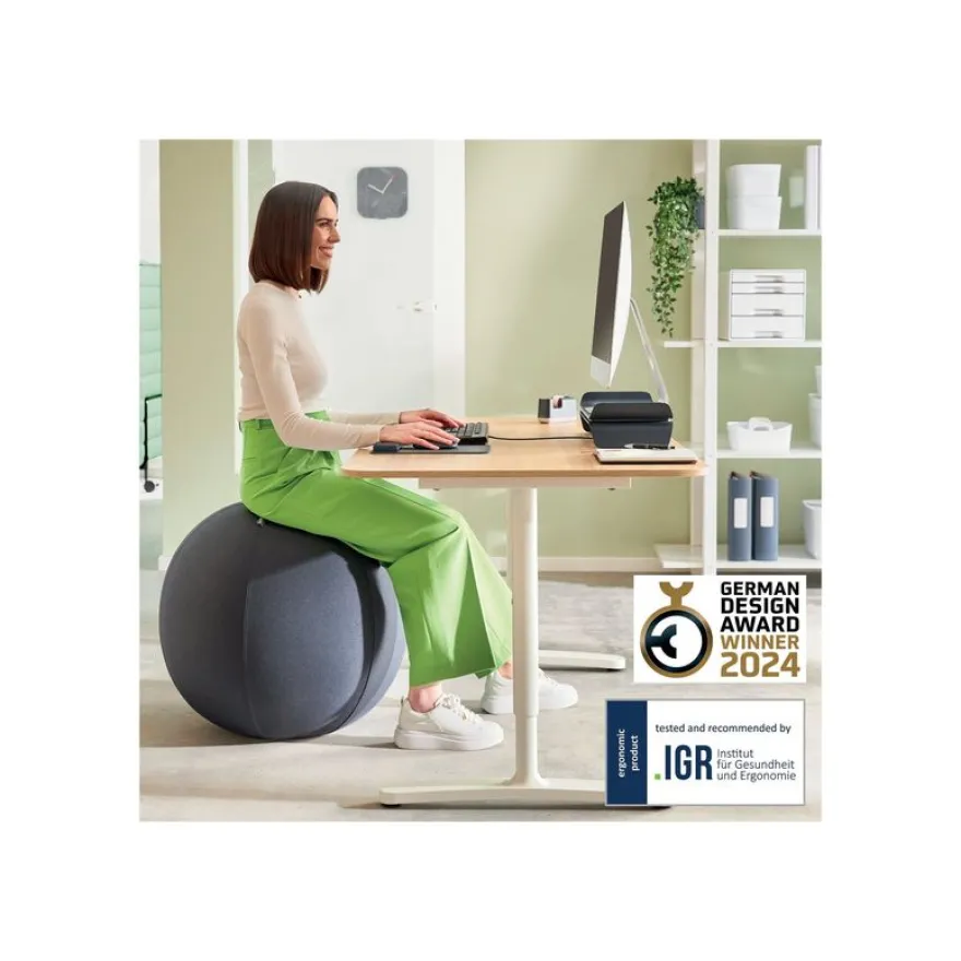 Leitz Ergo - Ballon d'assise ergonomique - Diamètre 75cm - Gris foncé