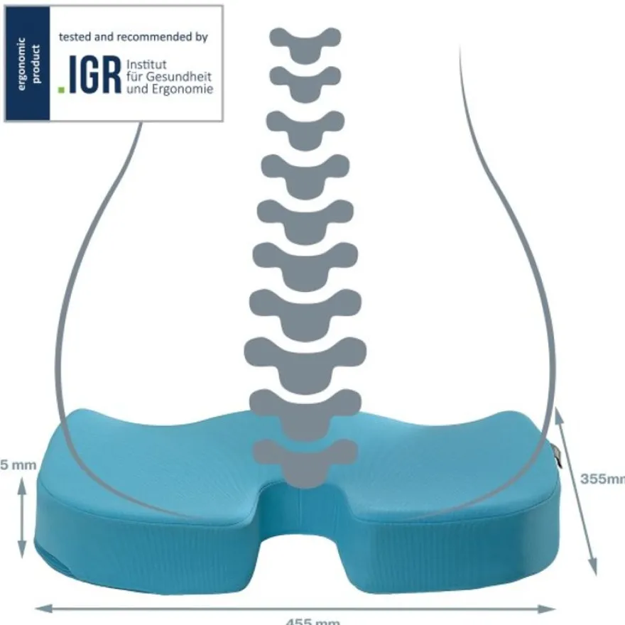 Leitz Ergo - Coussin de siège ergonomique - Soulage la pression et améliore la posture - Bleu