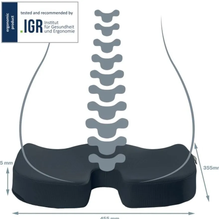 Leitz Ergo - Coussin de siège ergonomique - Soulage la pression et améliore la posture - Gris