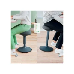 Leitz Ergo - Tabouret ergonomique - 47-64 cm - Gris foncé
