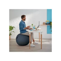 Leitz Ergo Cosy Active - Ballon d'assise ergonomique - améliore la posture - diamètre 65 cm - gris