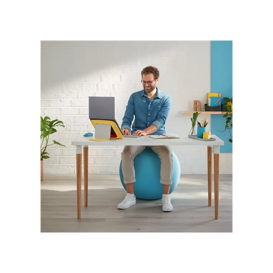 Leitz Ergo Cosy Active - Ballon d'assise ergonomique - améliore la posture - diamètre 65 cm - bleu