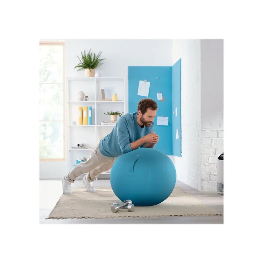 Leitz Ergo Cosy Active - Ballon d'assise ergonomique - améliore la posture - diamètre 65 cm - bleu