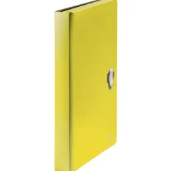 Leitz Recycle - Trieur à soufflet - 5 positions - A4 - pour 250 feuilles - à onglets - jaune