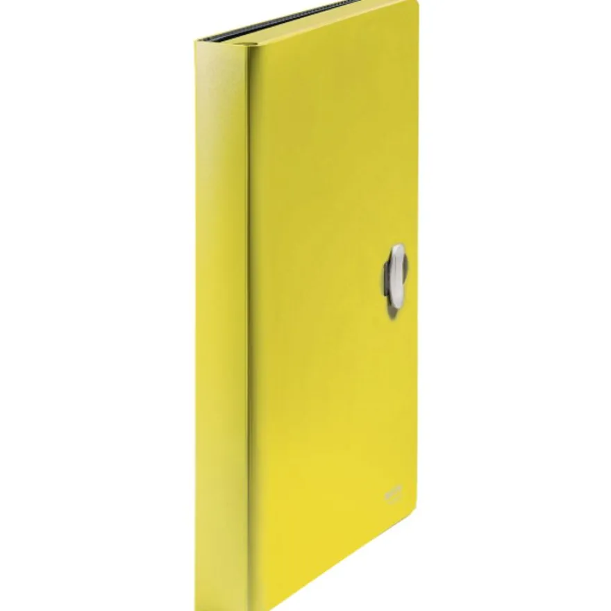 Leitz Recycle - Trieur à soufflet - 5 positions - A4 - pour 250 feuilles - à onglets - jaune