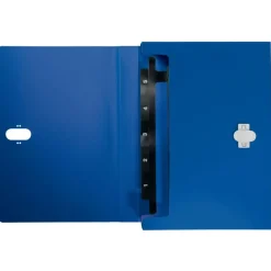 Leitz Recycle - Trieur à soufflet - 5 positions - A4 - pour 250 feuilles - à onglets - bleu