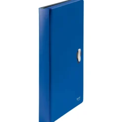 Leitz Recycle - Trieur à soufflet - 5 positions - A4 - pour 250 feuilles - à onglets - bleu